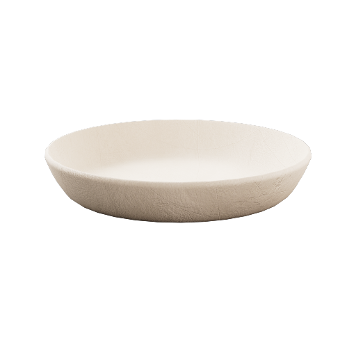 Shallow Dish 1