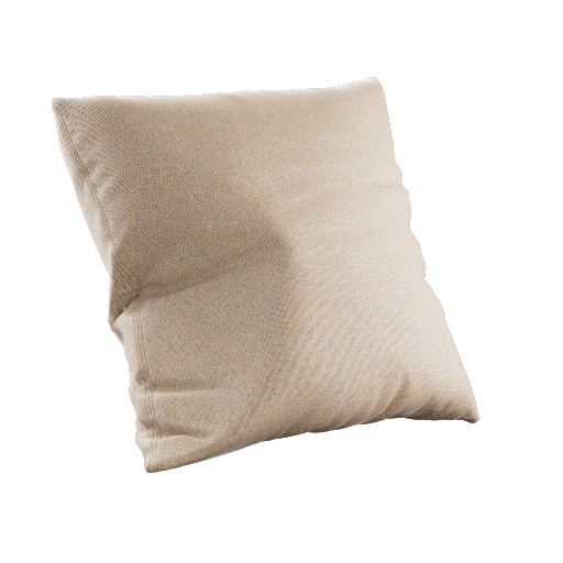 Throw Pillow 24