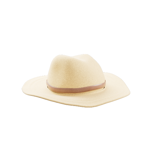 Hat 2