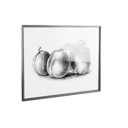 Framed Sketch 1