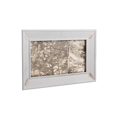 Framed Photograph 27