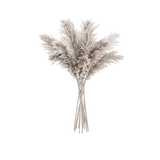 Pampas Bouquet 12