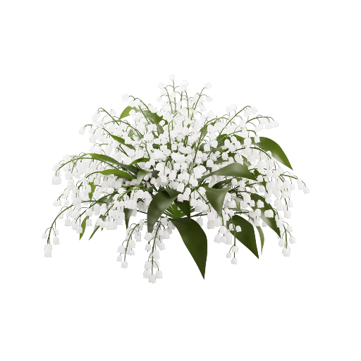 Convallaria Flower Bouquet