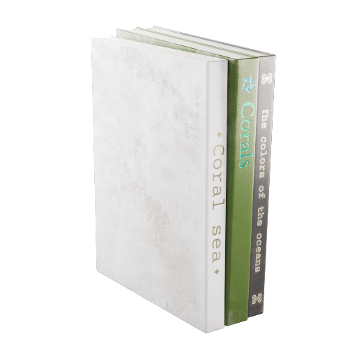 Accent Book Stack 1