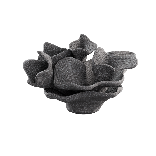 Coral Decor 2