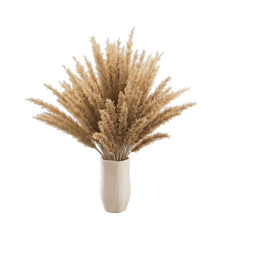 Vase Pampas Grass 11