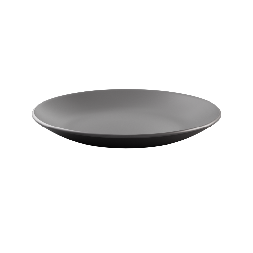 Dinner Plate 10