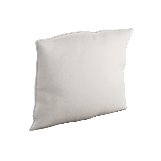 Throw Pillow 2
