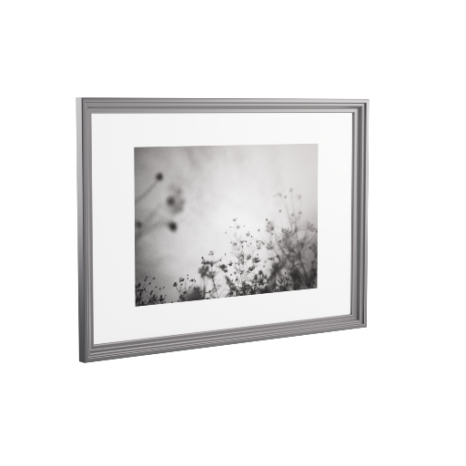 Framed Picture 4
