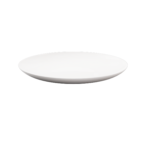 Dinner Plate 7