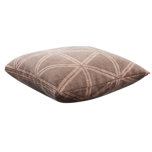 Throw Pillow 13 Large