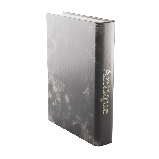 Accent Book 12