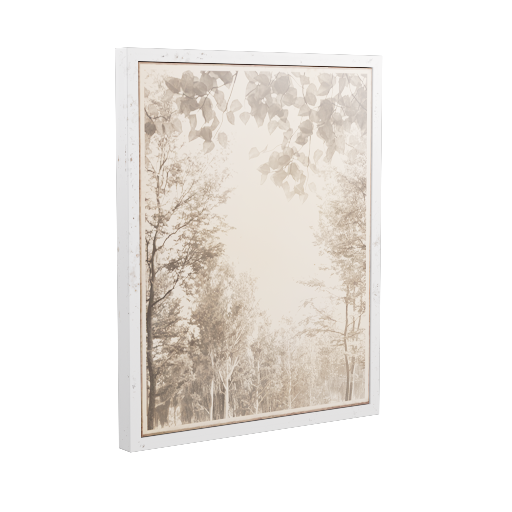 Framed Photograph 29