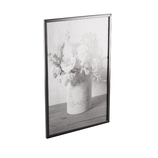 Framed Picture 12