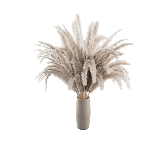 Vase Pampas Grass 13