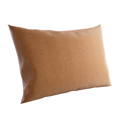 Throw Pillow 5