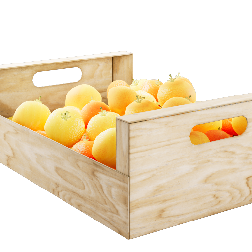 Citrus Box 1