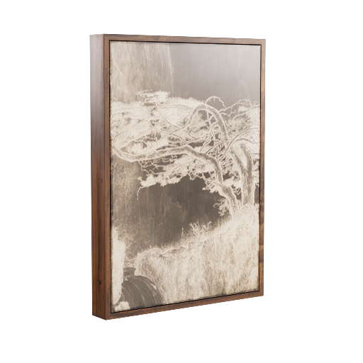 Framed Photograph 32