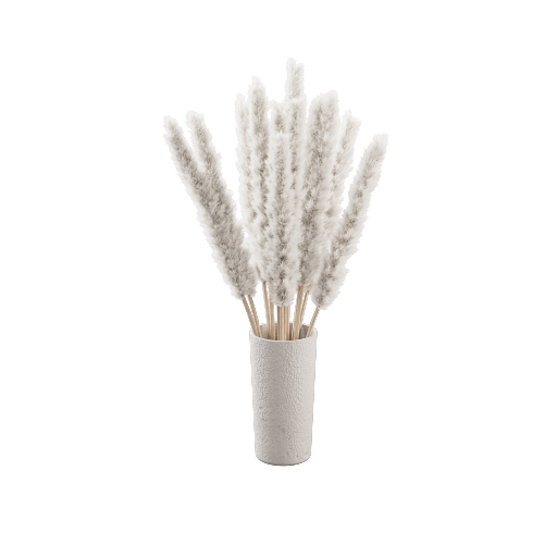 Pampas Vase 1
