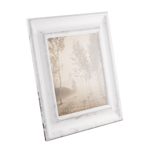 Framed Photograph 25