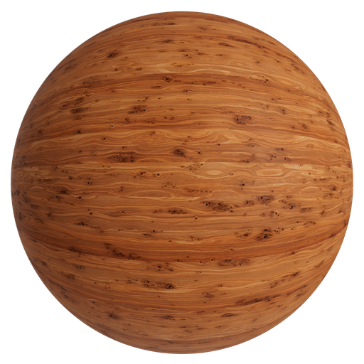Wood Yew 1 - 2 m