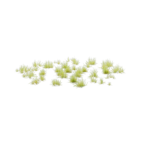 Lawn 3 Variant 4