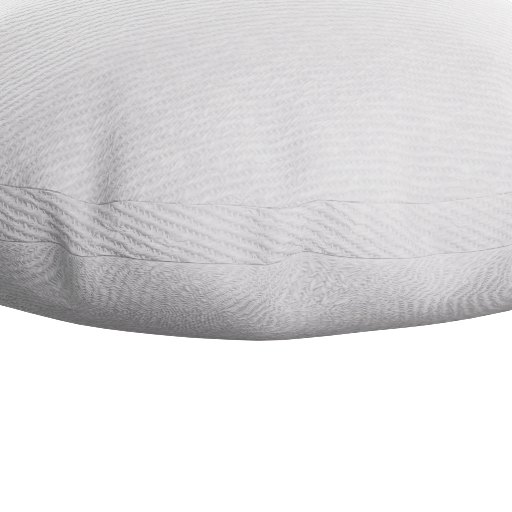 Throw Cushion 1