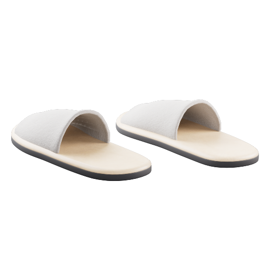 Spa Slippers 1