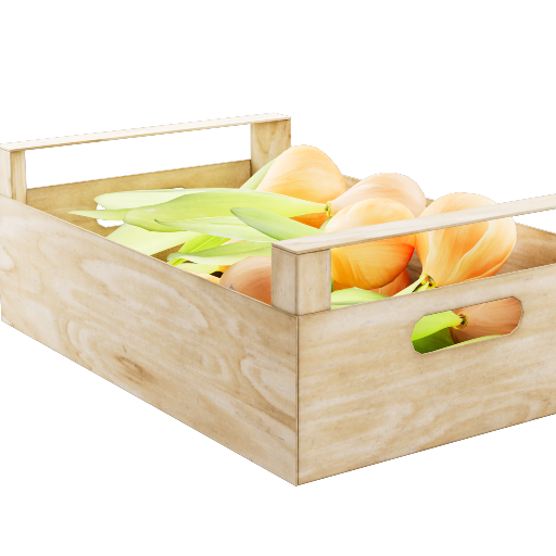 Yellow Onions Box 1