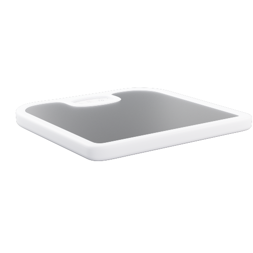 Scale 1