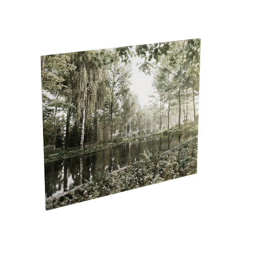 Printed Canvas Wall Art