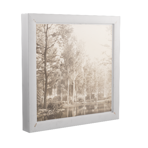 Framed Photograph 31