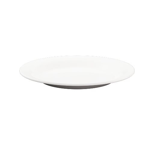 Dinner Plate 4