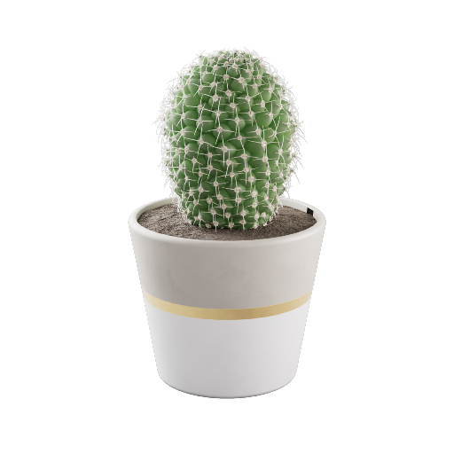 Parodia Cactus 2