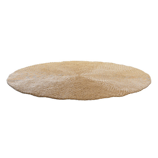Circular Rug 1