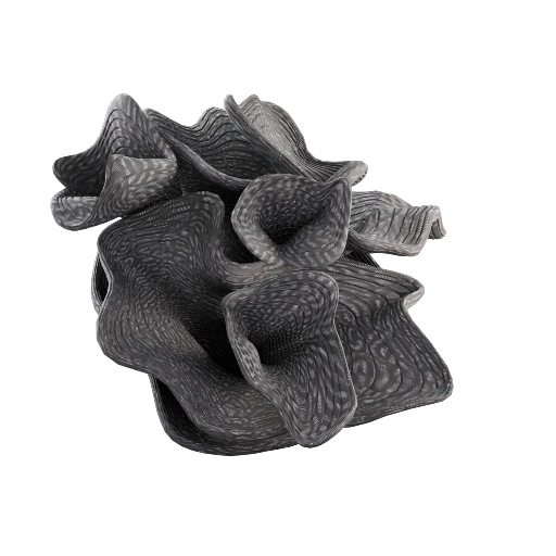Coral Decor 1