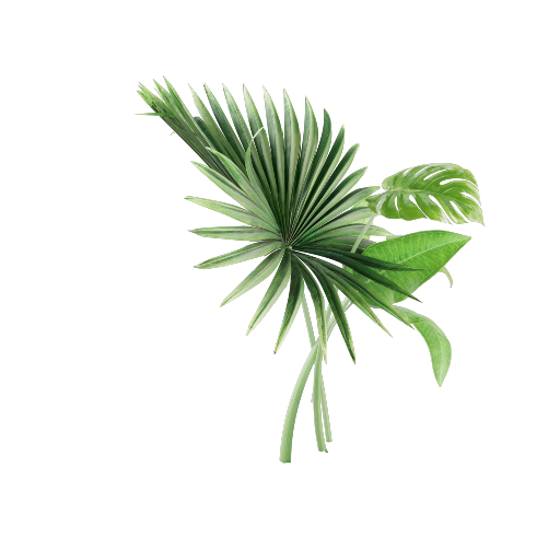 Palm Leaves