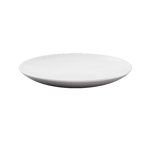 Dinner Plate 3