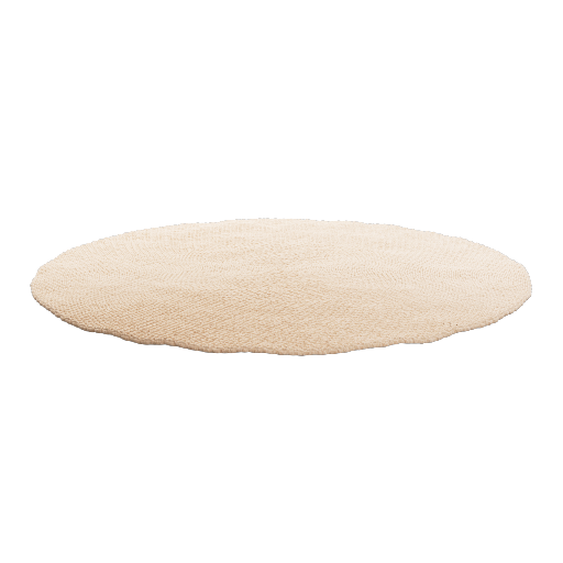 Circular Rug 2