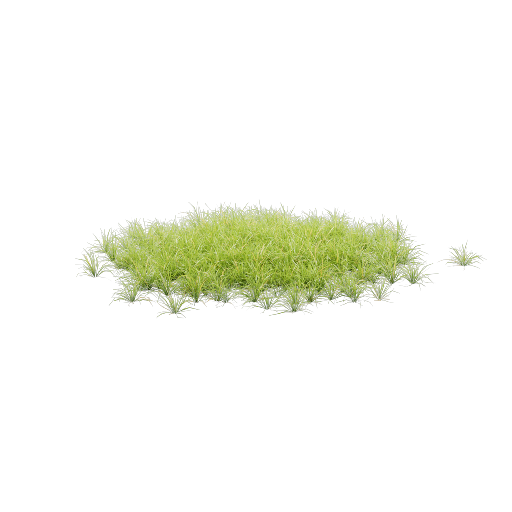 Lawn 4 Variant 2