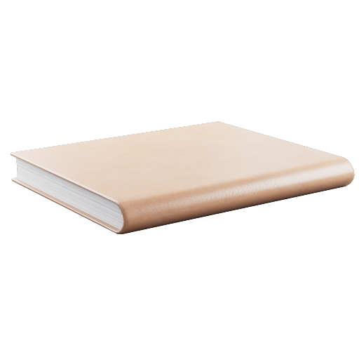 Brown Book