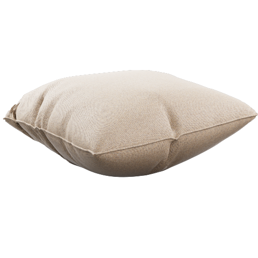 Throw Pillow 29