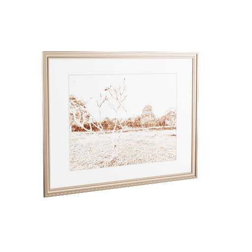 Framed Photograph 7