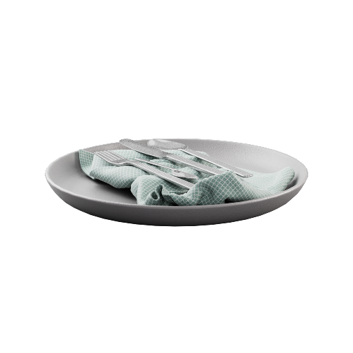 Dinner Plate 1