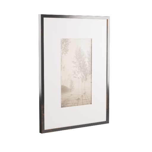 Framed Picture 8
