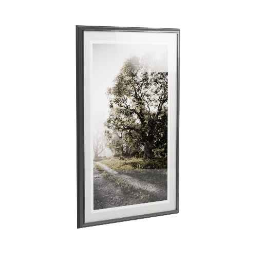 Framed Photograph 35