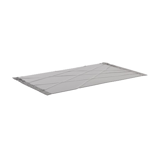 Outdoor Rug 1