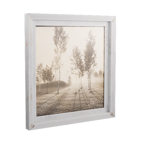 Framed Photograph 34