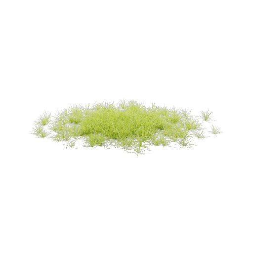 Lawn 4 Variant 1