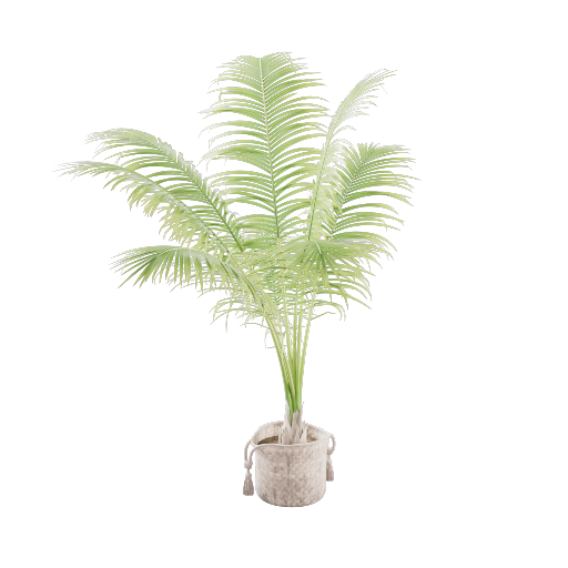 Potted Palm 2